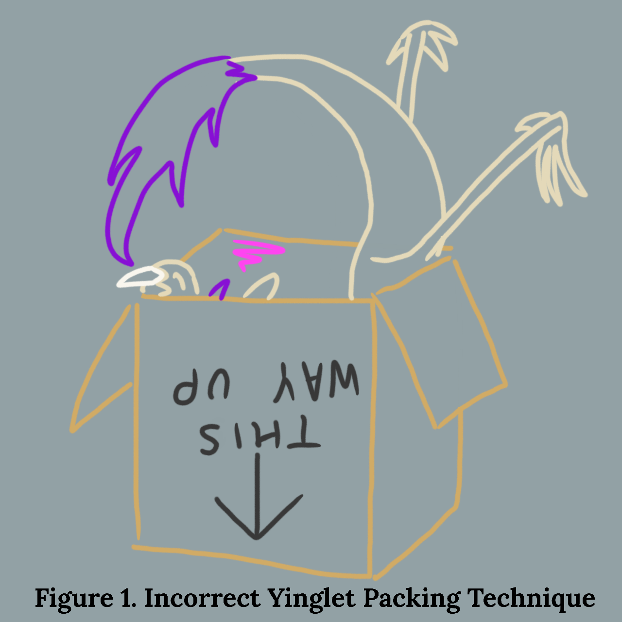 a cardboard opened from the wrong side, with a yinglet tail and legs sticking out on one side and a disgruntled snout on the other. the picture is labelled Figure 1. Incorrect Yinglet Packing Technique