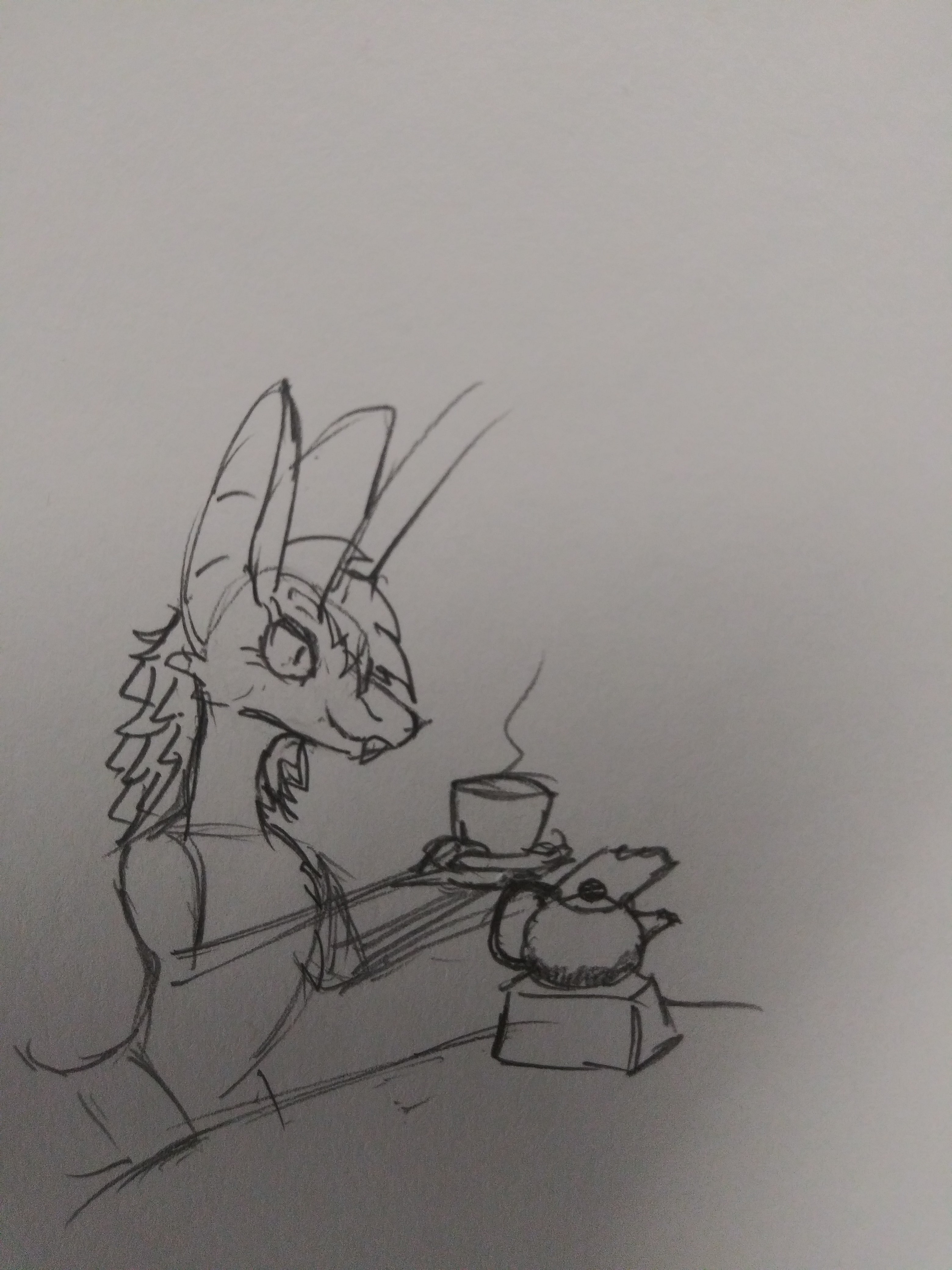 A very fluffy Yinglet holds up a cup of tea