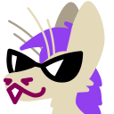 myno_sunglasses myno_sunglasses